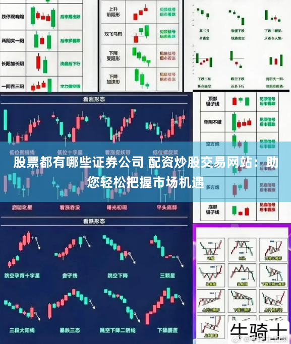 股票都有哪些证券公司 配资炒股交易网站：助您轻松把握市场机遇