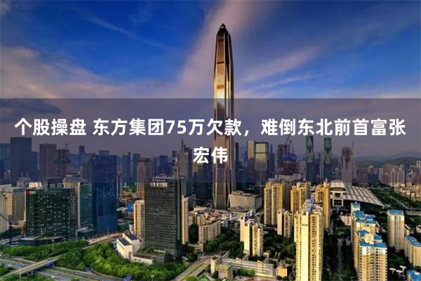 个股操盘 东方集团75万欠款，难倒东北前首富张宏伟