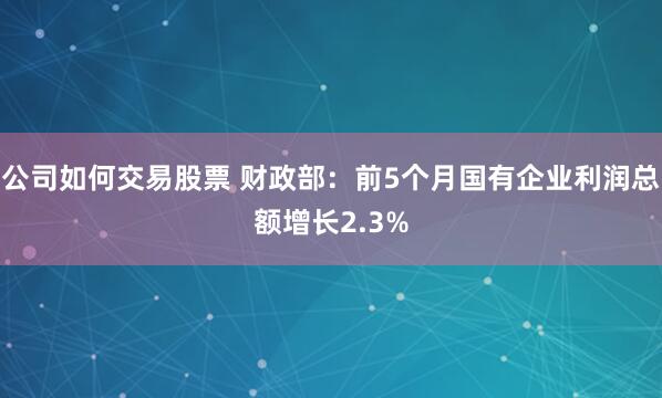 公司如何交易股票 财政部：前5个月国有企业利润总额增长2.3%