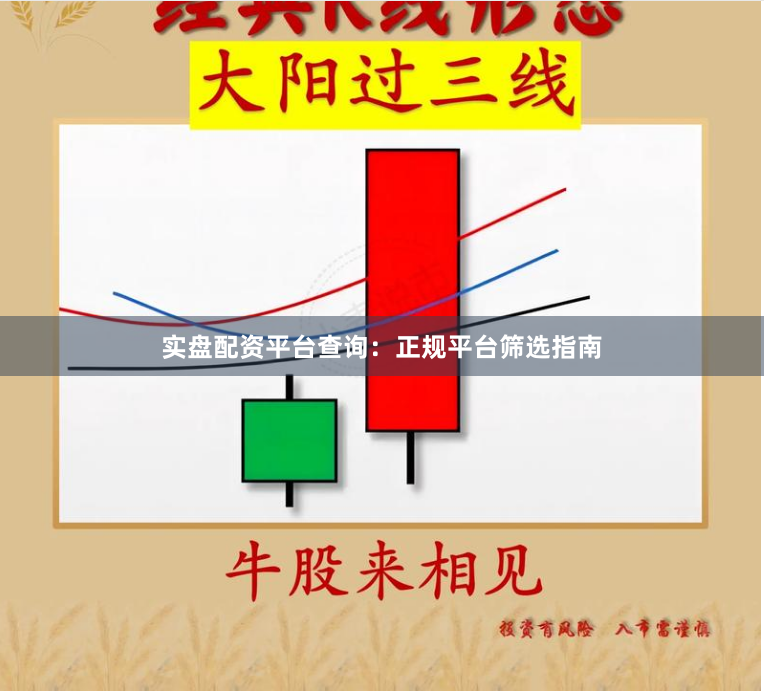 实盘配资平台查询：正规平台筛选指南
