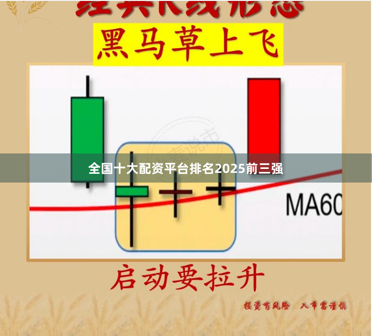 全国十大配资平台排名2025前三强
